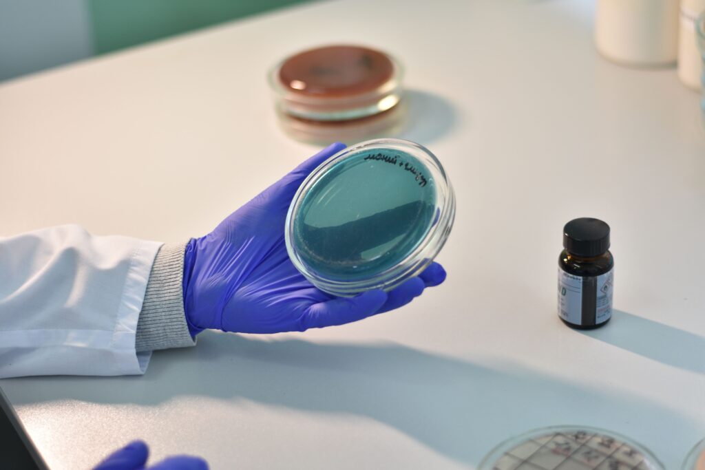 A gloved lab technician holding a petri dish for product quality-control testing, representing manufacturer verification for Malaysia OEM dishwashing liquid factories.