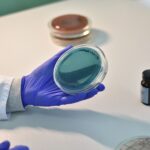 A gloved lab technician holding a petri dish for product quality-control testing, representing manufacturer verification for Malaysia OEM dishwashing liquid factories.