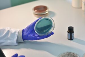 A gloved lab technician holding a petri dish for product quality-control testing, representing manufacturer verification for Malaysia OEM dishwashing liquid factories.
