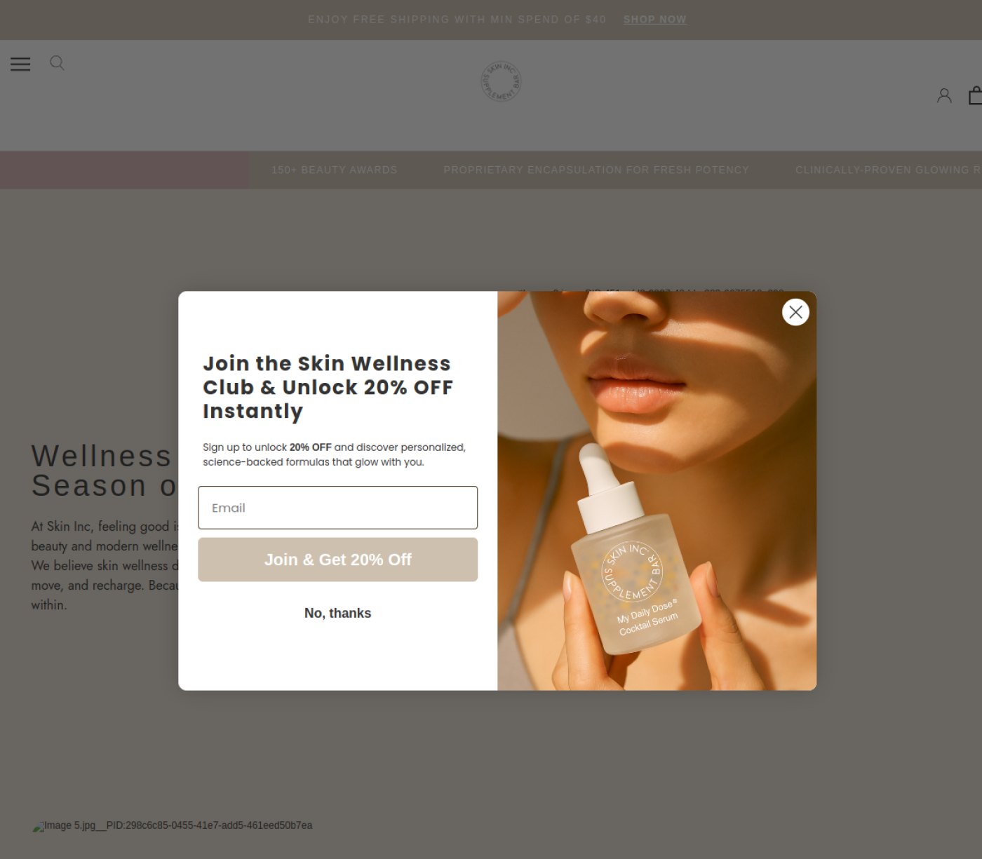 the Skin Inc official website